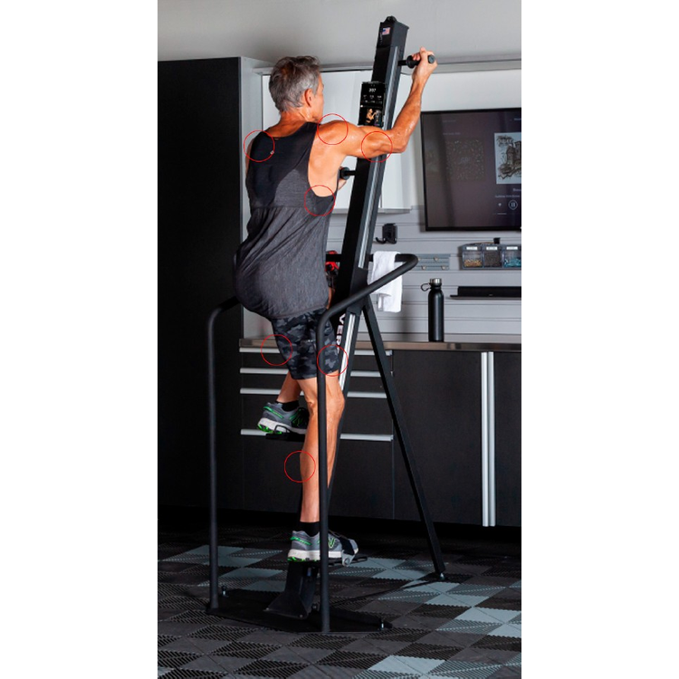 VersaClimber Home Touchscreen (H-TS) vertical climber full-body workout showing muscles worked