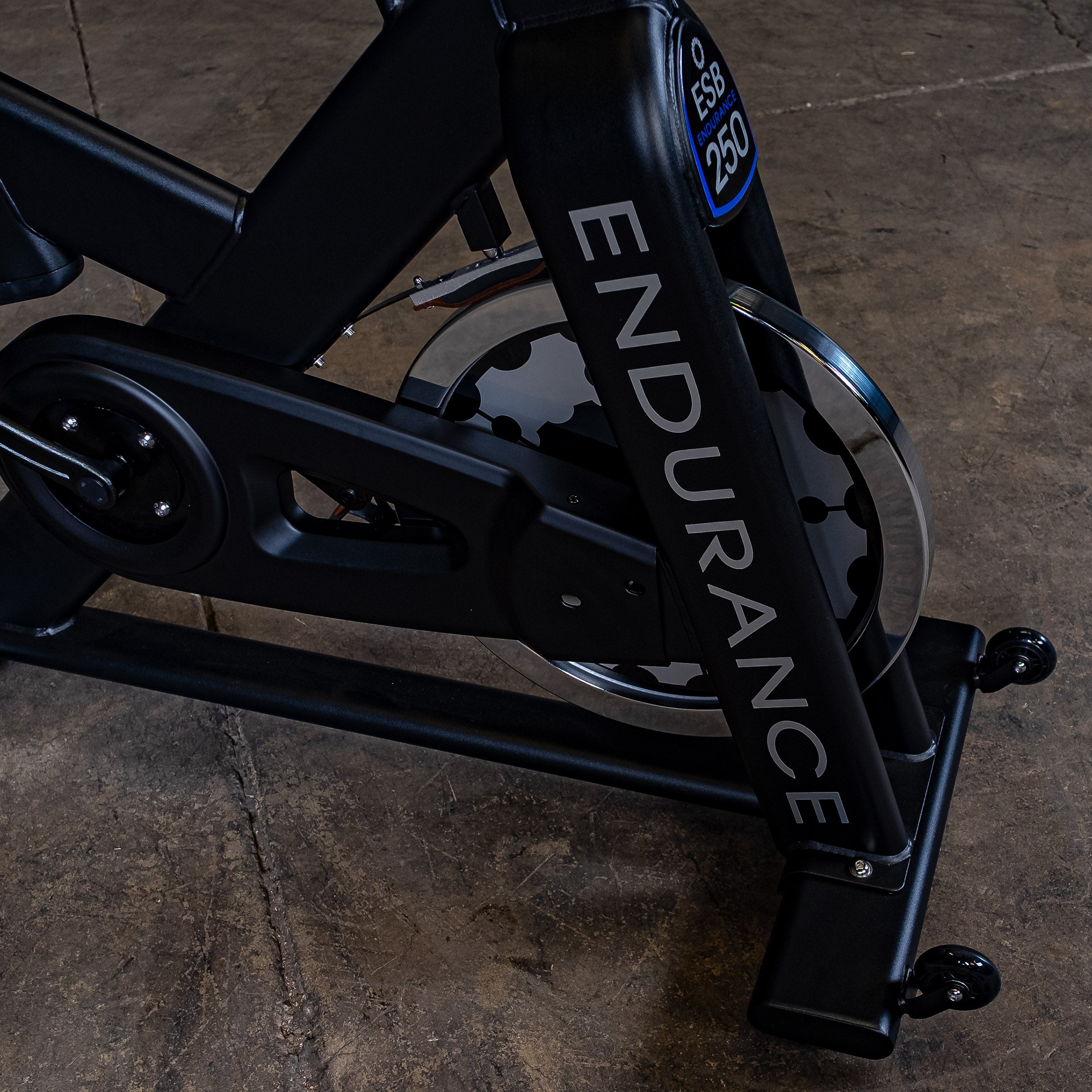 Close-up of the Body-Solid Endurance ESB250 indoor training cycle flywheel, belt drive system, and commercial-grade steel frame